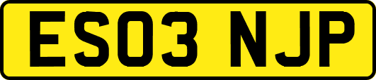 ES03NJP