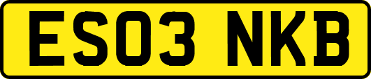 ES03NKB