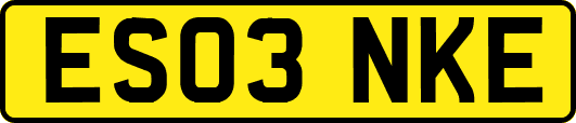 ES03NKE