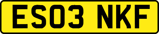 ES03NKF