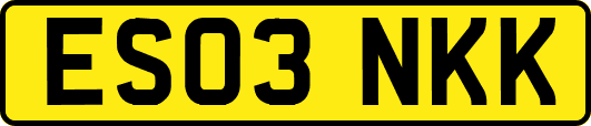 ES03NKK