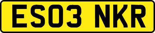 ES03NKR