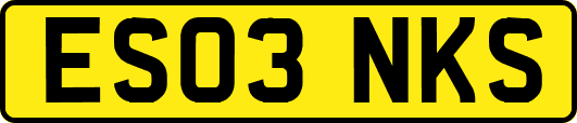 ES03NKS