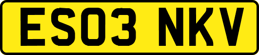 ES03NKV