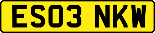 ES03NKW