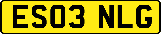 ES03NLG