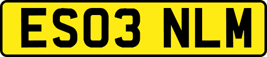 ES03NLM