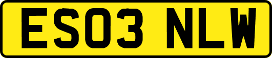 ES03NLW