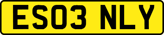 ES03NLY