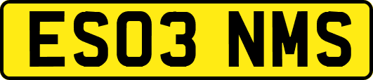 ES03NMS