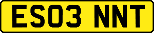 ES03NNT