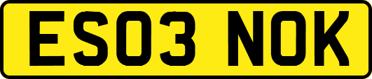 ES03NOK