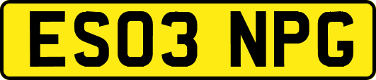 ES03NPG