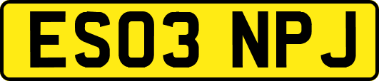 ES03NPJ