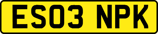 ES03NPK