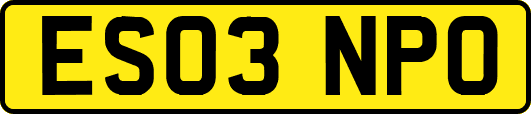 ES03NPO