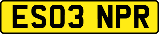 ES03NPR