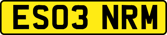 ES03NRM