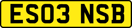 ES03NSB