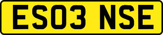 ES03NSE