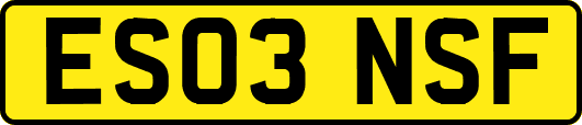 ES03NSF