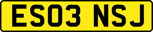 ES03NSJ