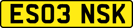 ES03NSK