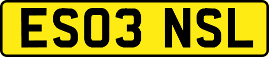 ES03NSL