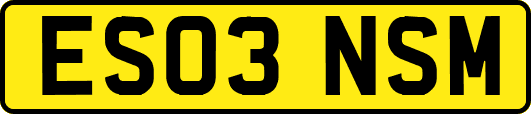ES03NSM
