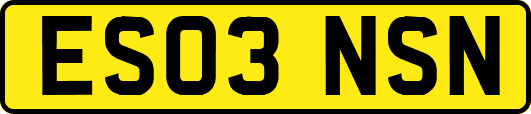 ES03NSN