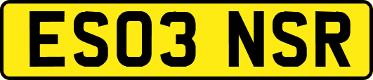 ES03NSR