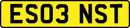 ES03NST