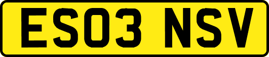 ES03NSV