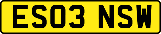 ES03NSW
