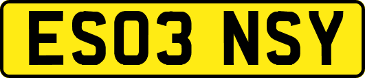 ES03NSY