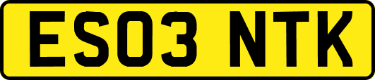 ES03NTK