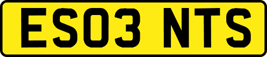 ES03NTS