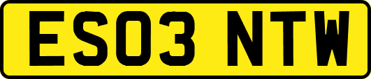 ES03NTW