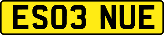 ES03NUE