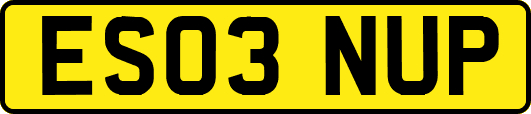 ES03NUP