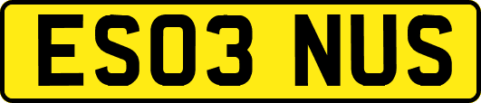 ES03NUS