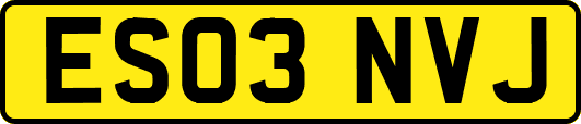 ES03NVJ