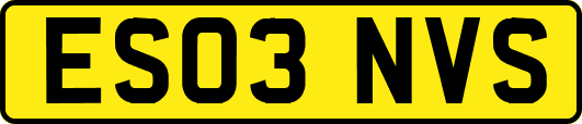 ES03NVS