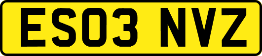 ES03NVZ