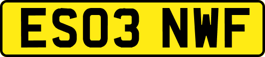 ES03NWF