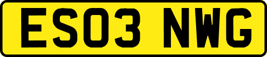 ES03NWG