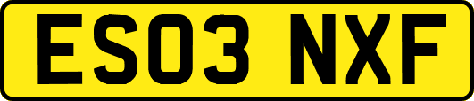 ES03NXF
