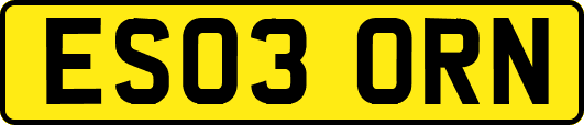 ES03ORN