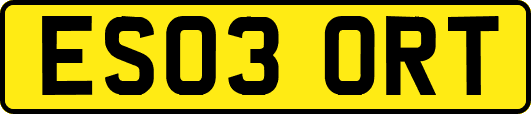 ES03ORT