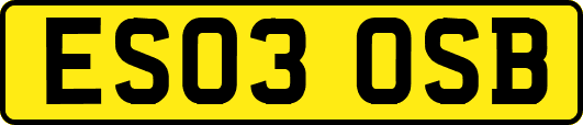 ES03OSB